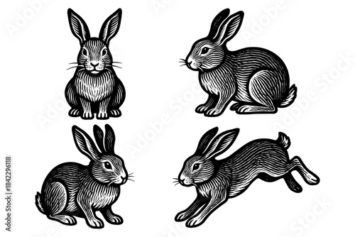 Engraved bunny illustrations in vintage style: posed and hopping rabbits