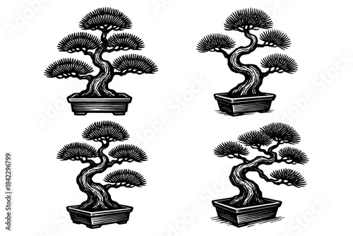 Elegant black and white bonsai trees in intricate woodcut style