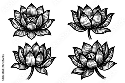 Detailed black and white lotus flower set with intricate line art style