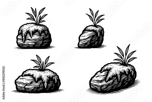 Hand drawn rocky landscapes with grass elements on white background