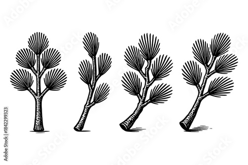 Hand drawn abstract stylized trees with branch patterns in black and white