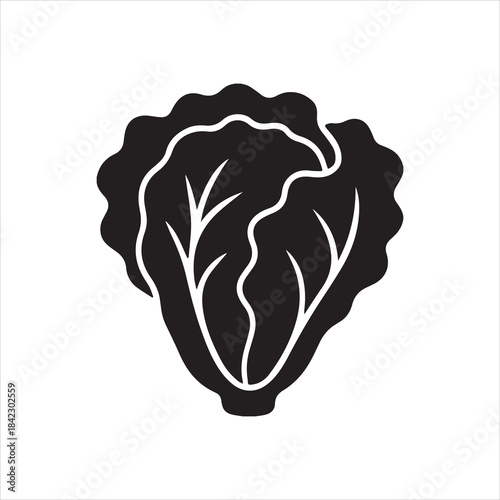  Silhouette lettuce icon fresh vegetable healthy diet vector Illustrator