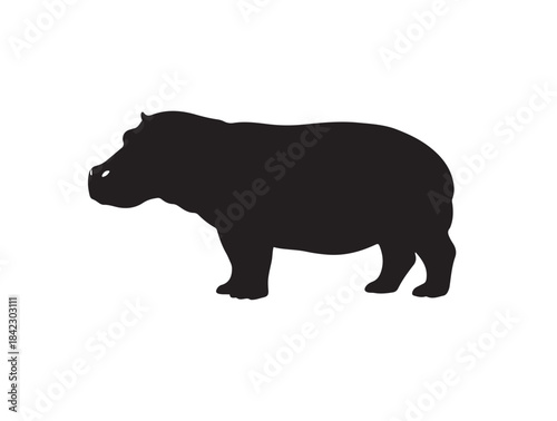 Hippopotamus in silhouette white background.