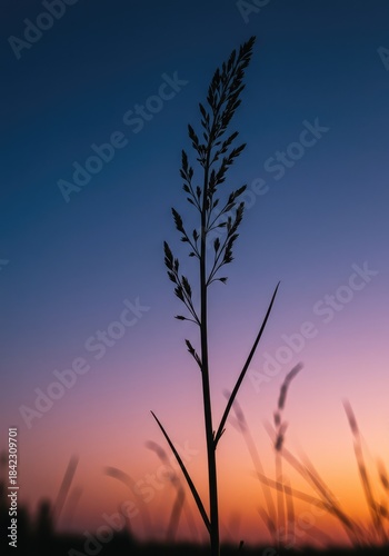 A dramatic vertical plant stalk reaching high into the immense, colorful evening sky, emphasizing height and aspiration ,dramatic ,dusk ,detail