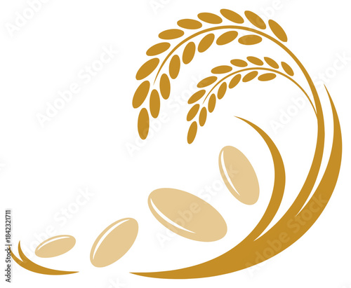 Golden wheat stalks and scattered grains on white background yellow