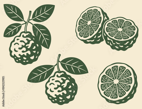 Green custard apple fruit with leaves and cross sections in monochrome cherimoya