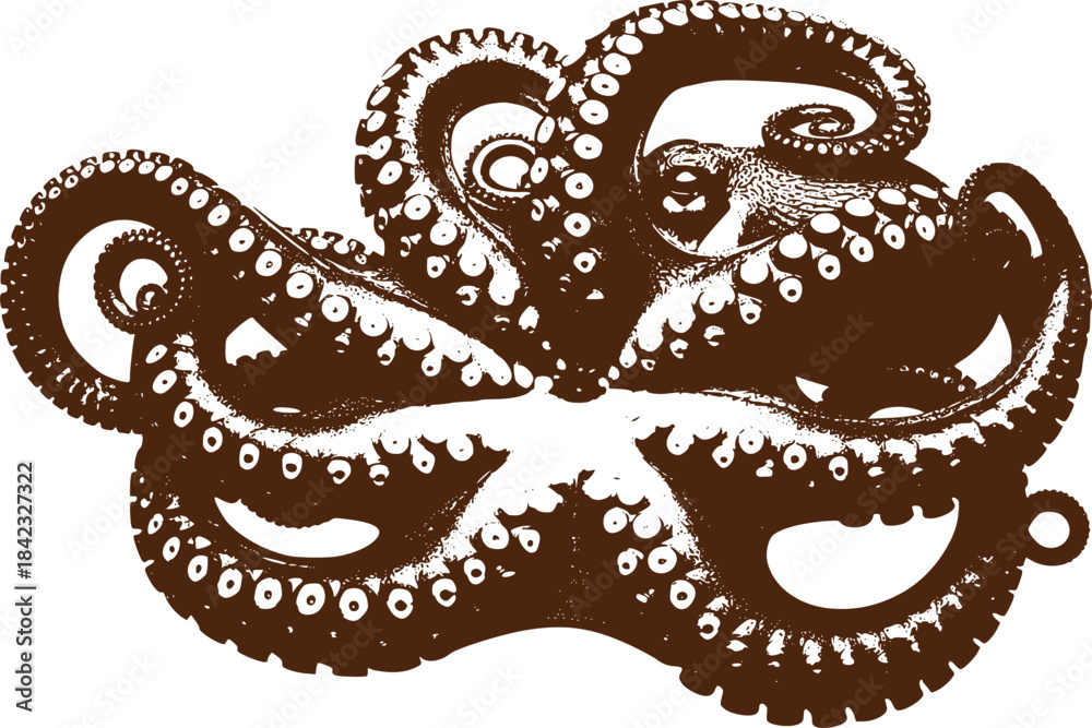 Obraz premium Brown octopus vector illustration isolated on transparent background