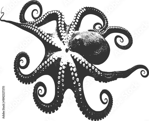 Stylized illustration of an octopus with eight tentacles spread, isolated on transparent background.