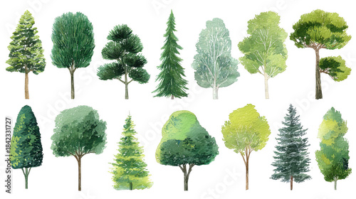 A Collection of Various Tree Illustrations Showcasing Unique Shapes, Shades, and Textures, png, isolated on transparent background