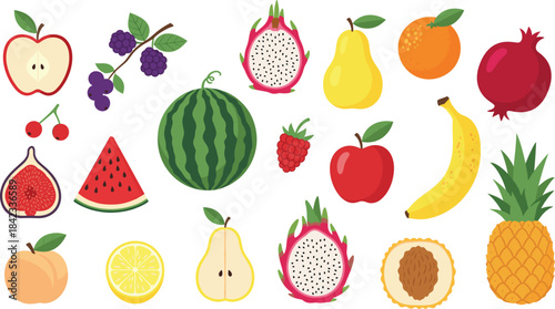 Colorful Flat Design Collection of Various Fresh and Healthy Exotic Fruits Vector Illustration