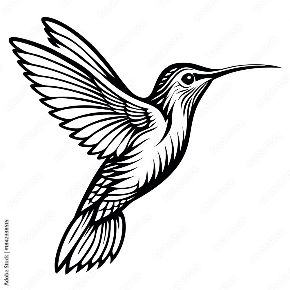 Obraz premium hummingbird-silhouette-with-white-background 
