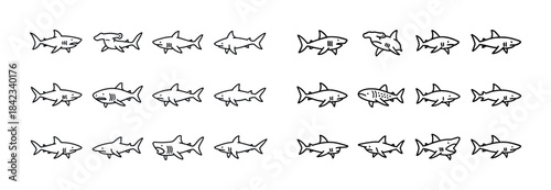 Cartoon shark varieties in rows illustrating diverse species