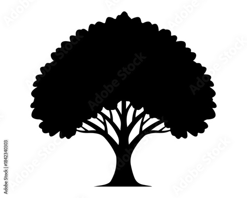 Classic Vector Silhouette of a Deciduous Tree, a Strong Graphic Element for Nature and Eco Designs, Ideal for Logos and Icons, Isolated on Transparent Background