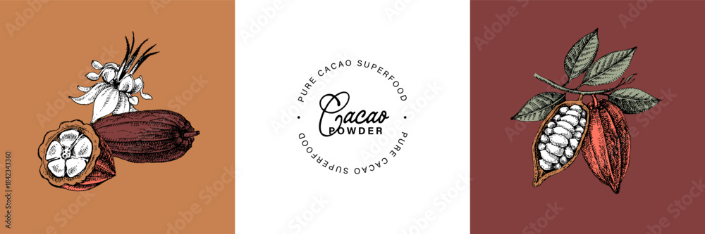Fototapeta premium Hand drawn sketch cocoa chocolate product banner set. Vintage vector illustration of natural healthy food. Packaging design of cacao powder