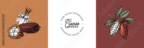 Hand drawn sketch cocoa chocolate product banner set. Vintage vector illustration of natural healthy food. Packaging design of cacao powder