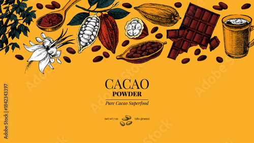 Hand drawn sketch cocoa chocolate product background. Vintage vector illustration of natural healthy food. Packaging design of cacao powder