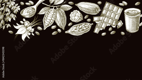 Hand drawn sketch cocoa chocolate product background. Vintage vector illustration of natural healthy food. Packaging design of cacao powder