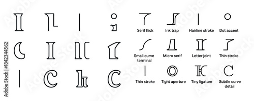 Typography elements and font anatomy diagram with details
