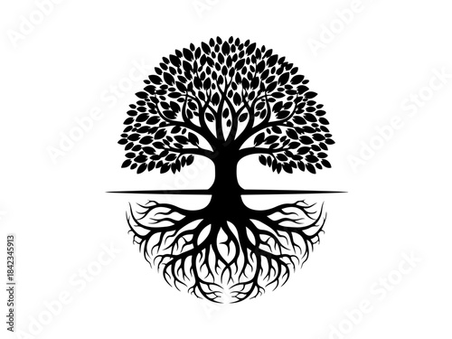 A stylized black and white illustration of a tree with a prominent trunk, expansive canopy, and intricate root system, symbolizing life and growth.