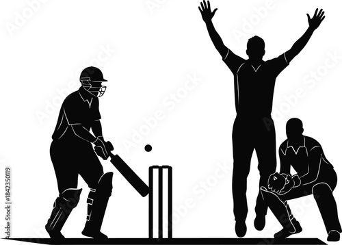 Cricket players in action silhouette isolated on transparent background