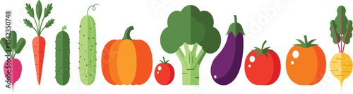 A colorful vector collection of diverse flat-style vegetables, including carrots, pumpkins, tomatoes, broccoli, representing healthy eating, organic produce, natural farming concepts  graphic design
