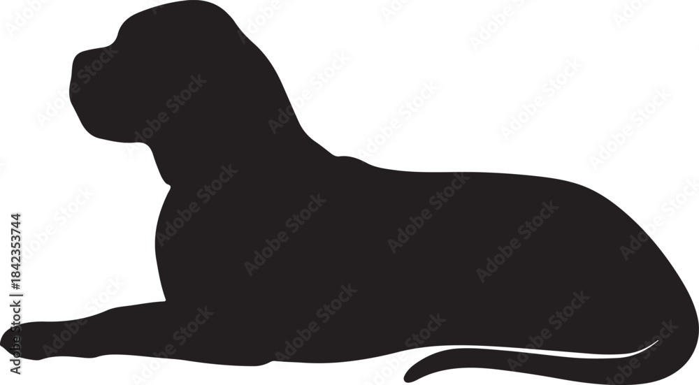 Obraz premium Silhouette of a slender graceful dog standing in a profile view
