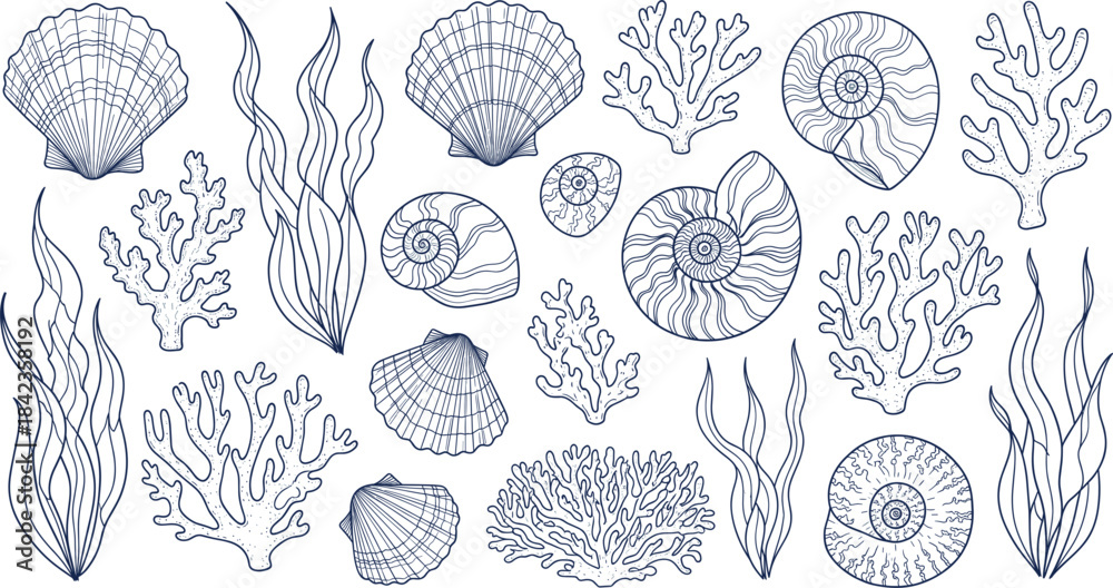 Naklejka premium Hand-drawn ocean illustration set featuring seashells, coral, seaweed, marine plants, nautical elements, and detailed underwater coastal designs