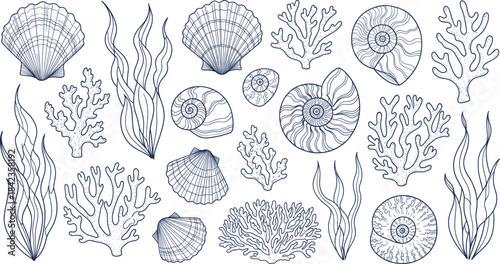 Hand-drawn ocean illustration set featuring seashells, coral, seaweed, marine plants, nautical elements, and detailed underwater coastal designs