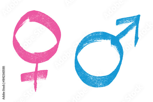 Hand drawn female and male gender identity sign Symbol used to represent sex and gender Single element for print, web, design, decor