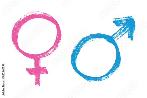 Hand drawn female and male gender identity sign Symbol used to represent sex and gender Single element for print, web, design, decor