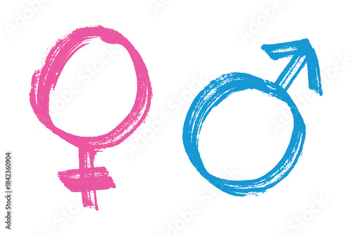 Hand drawn female and male gender identity sign Symbol used to represent sex and gender Single element for print, web, design, decor