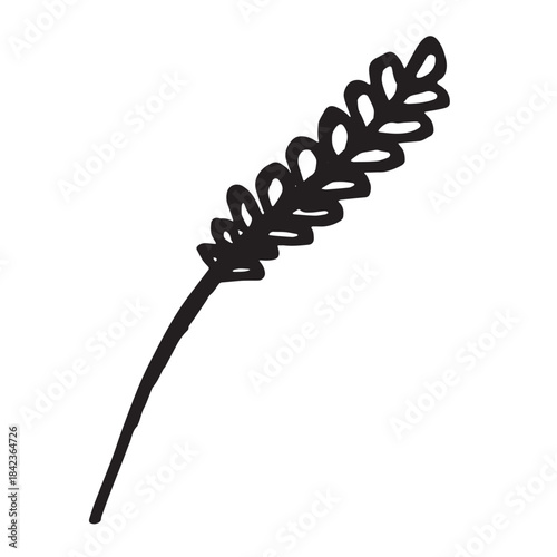 Hand drawn cereal wheat oat rye barley rice ears spikelet clipart Organic wheat bread agriculture farming harvest healthy food Single element for print packaging label design decor