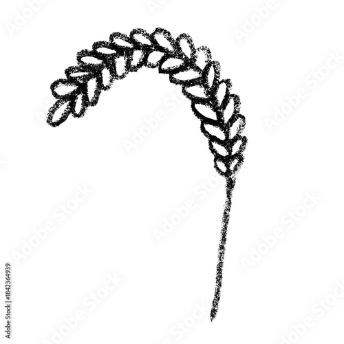 Hand drawn cereal wheat oat rye barley rice ears spikelet clipart Organic wheat bread agriculture farming harvest healthy food Single element for print packaging label design decor