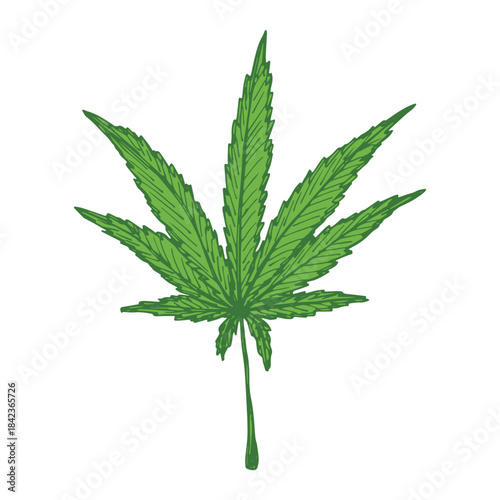 Hand drawn cannabis leaf Medicine marijuana Hemp leaves clipart in doodle style Single element for print, web, design, decor