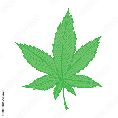Hand drawn cannabis leaf Medicine marijuana Hemp leaves clipart in doodle style Single element for print, web, design, decor