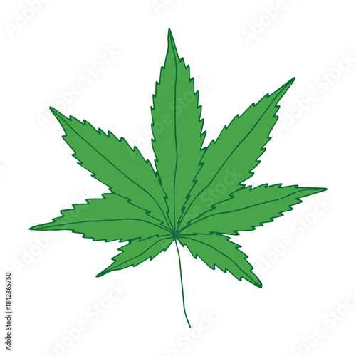 Hand drawn cannabis leaf Medicine marijuana Hemp leaves clipart in doodle style Single element for print, web, design, decor
