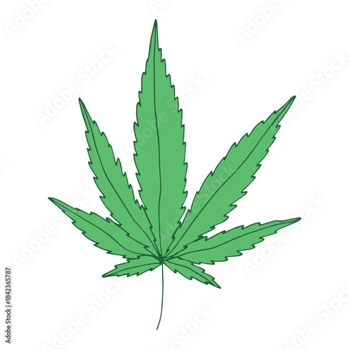 Hand drawn cannabis leaf Medicine marijuana Hemp leaves clipart in doodle style Single element for print, web, design, decor
