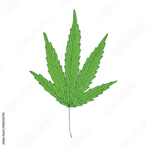 Hand drawn cannabis leaf Medicine marijuana Hemp leaves clipart in doodle style Single element for print, web, design, decor