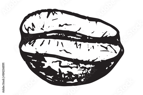 Hand drawn fresh roasted coffee bean Arabica robusta seed doodle Single element for print, web, design, decor