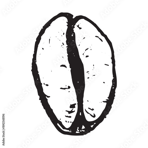 Hand drawn fresh roasted coffee bean Arabica robusta seed doodle Single element for print, web, design, decor