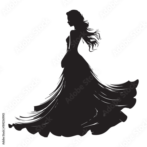 bride girl in a dress silhouette
