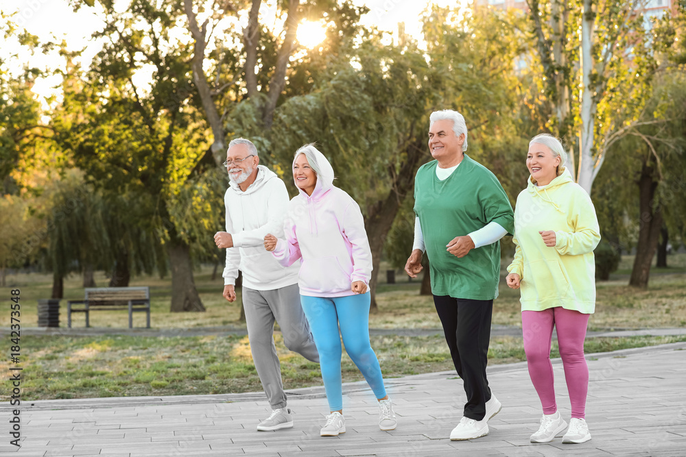 Fototapeta premium Group of senior people running in park