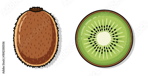 Kiwi fruit illustration whole and sliced with shadows