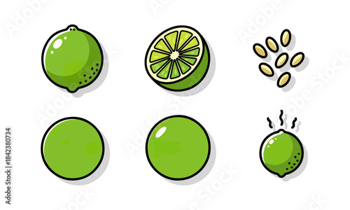 Lime illustrations set whole halved seeds and circles