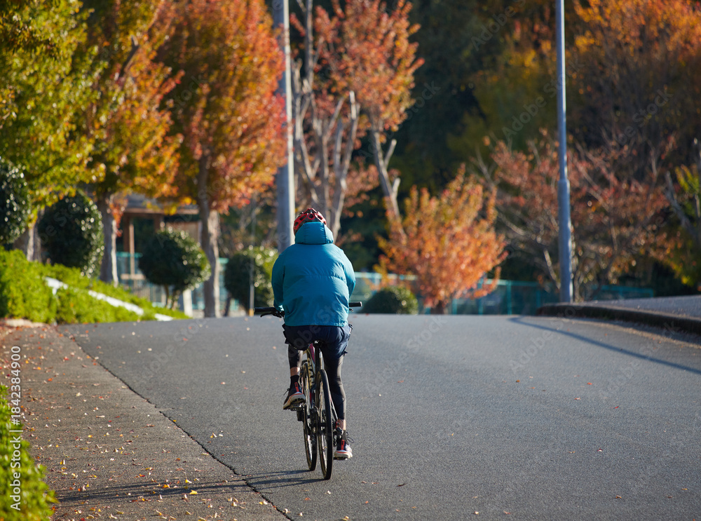 Obraz premium 秋の公園で自転車を乗る通勤中の女性の姿と紅葉の風景