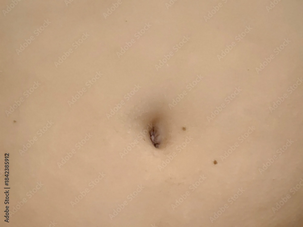 Fototapeta premium Human Belly. Study.