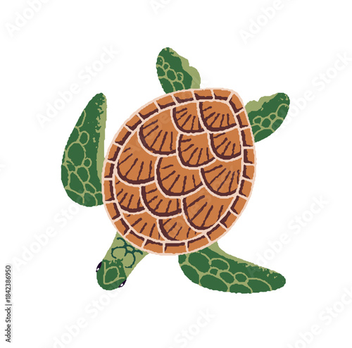 Top view of green sea turtle. Terrapin, amphibian animal of the ocean with ornamented shell. Tropical undersea life. Exotic fauna of coral reef. Flat isolated vector illustration on white background