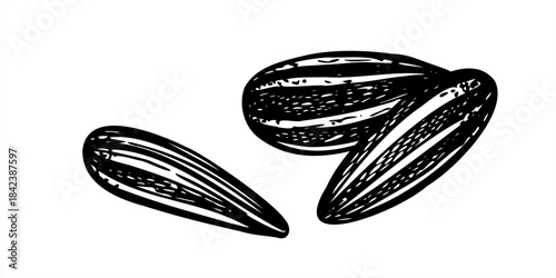 Unpeeled black sunflower seeds with white stripes on their shells monochrome vector line ink illustration. Healthy snack pile. Oilseed pile for bird seed products, food industry, packaging design