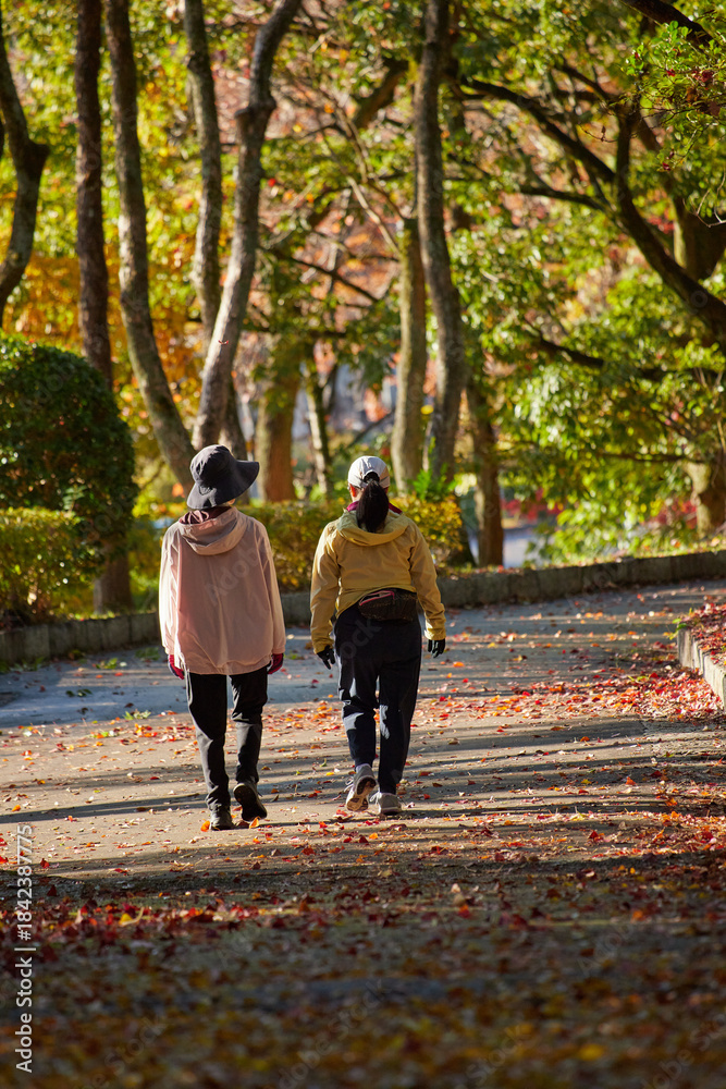 Fototapeta premium 秋の公園でジョギングする中年女性達の姿と紅葉の風景