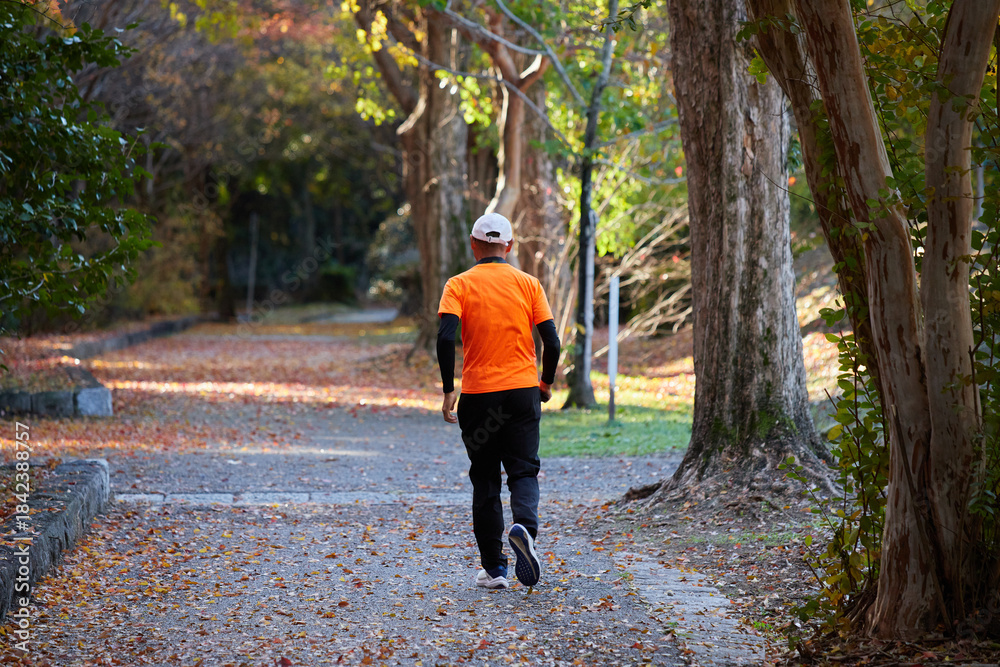 Fototapeta premium 秋の公園でジョギングするシニア男性の姿と紅葉の風景